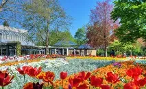 кроцинген клиники