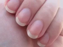 речника