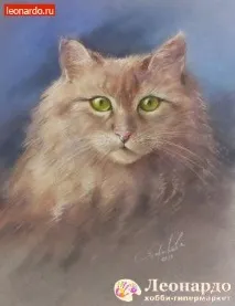 леонардо график