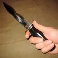 дефиниция думи
