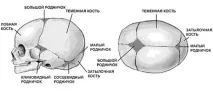 дъщеря новородени