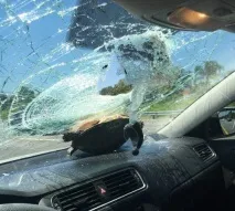 някога