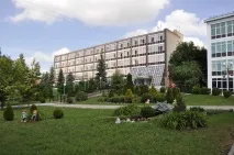 гръбначния стълб