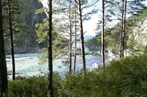 altai санаториум