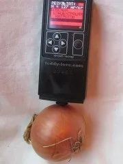 зеленчуците