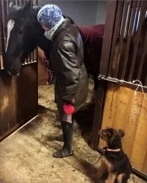 конят хера