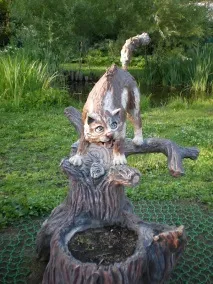 кішкам