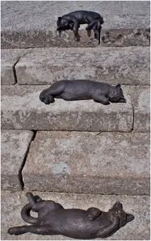 кішкам