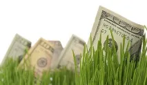 това agroinvestor