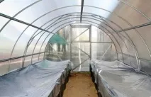 Сотка» – теплиці нового покоління технічні характеристики теплиці сотка нового