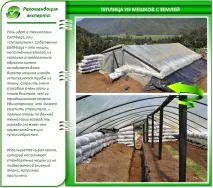 Теплиця з підручних матеріалів своїми руками 10 найкращих конструкцій матеріалів
