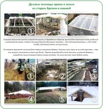 Теплиця з підручних матеріалів своїми руками 10 найкращих конструкцій своїми