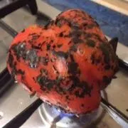 туна италиански