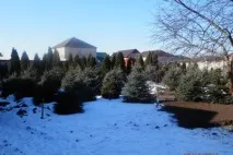 колона западна