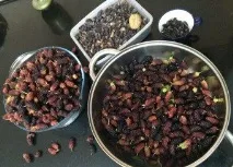 Цітовник лікувальні властивості, рецепти, протипоказання, посадка рецепти
