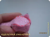 обичат котки