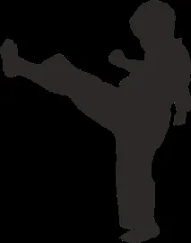 спорт сериозния