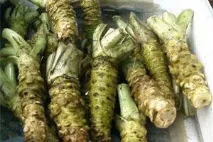 Васабі – що за хрін такий хрін