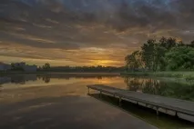 букет жълтооки маргаритки Лятото отива