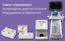 мурманск клиника