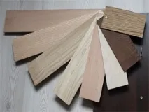избор врати