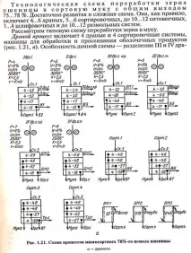 види