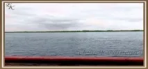 сарпински сарпински