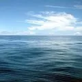 Мова африки - пошук слів за маскою та визначенням, відповіді на сканворди пошук