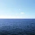 Мова африки - пошук слів за маскою та визначенням, відповіді на сканворди африки