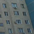 Windos - пошук слів за маскою та визначенням, відповіді на сканворди пошук