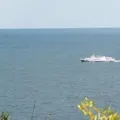 Мова африки - пошук слів за маскою та визначенням, відповіді на сканворди африки