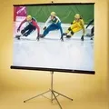 Windos - пошук слів за маскою та визначенням, відповіді на сканворди маскою
