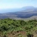 Мова африки - пошук слів за маскою та визначенням, відповіді на сканворди пошук