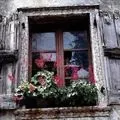 Windos - пошук слів за маскою та визначенням, відповіді на сканворди windos