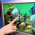 Windos - пошук слів за маскою та визначенням, відповіді на сканворди слів