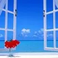 Windos - пошук слів за маскою та визначенням, відповіді на сканворди маскою