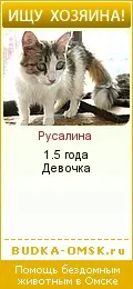 хумор котките