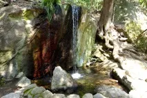 воронцов алупка