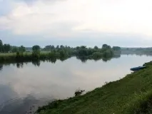 помічаю