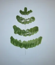 ялинку