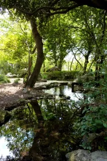 воронцов алупка