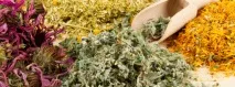 Хронічний тонзиліт (лікування) - Народні засоби та народні рецепти тонзиліт