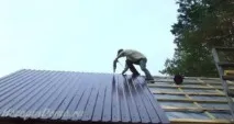 велпапе велпапе