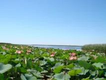 вода красота