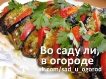 черен пипер жители