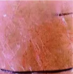 ABRADERMOL мікродермабразійний крем - Sesderma Mediderma - хімічні пілінги,професійна sesderma