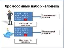 чоловіків
