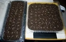 патладжани кога