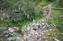 Аршан - курорт бальнеологічний та гірничо-кліматичний (Бурятія) бурятія