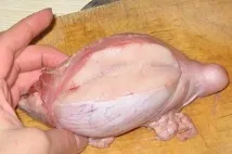 агнешки агнешките яйца